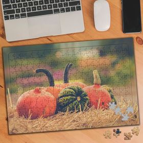 2989569 Renkli Kabaklar 240 Parça Puzzle Yapboz