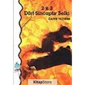 2X2 DÖRT SİNCAPTIR BELKI - CAFER YILDIRIM
