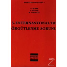 3. ENTERNASYONAL'DE ÖRGÜTLENME SORUNU - KOLEKTIF