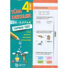 3. Sınıf Tüm Dersler Yaprak Test 4 Adım Yayınları