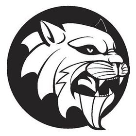30 cm Aslan 8 Folyo Sticker