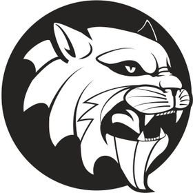 30 cm Aslan 8 Folyo Sticker