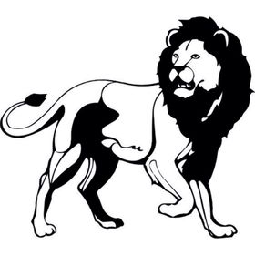 30 cm Aslan Lion Folyo Sticker