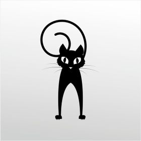 30 cm Folyo Şaşkın Kedi Sticker