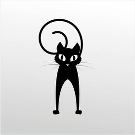 30 cm Folyo Şaşkın Kedi Sticker