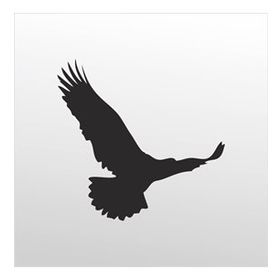 30 cm Kartal Folyo Sticker