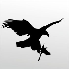 30 cm Kartal Folyo Sticker