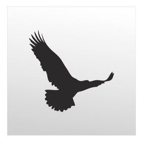 30 cm Kartal Folyo Sticker