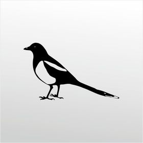 30 cm Muhabbet Kuşu Folyo Sticker