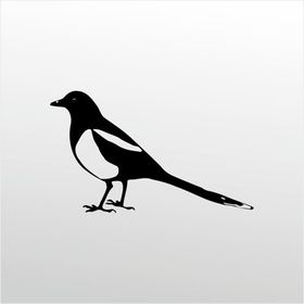 30 cm Muhabbet Kuşu Folyo Sticker