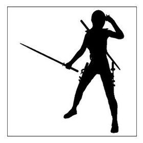 30 cm Ninja Folyo Sticker