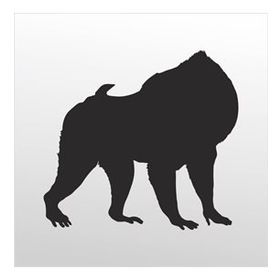 30 cm Orangutan Folyo Sticker