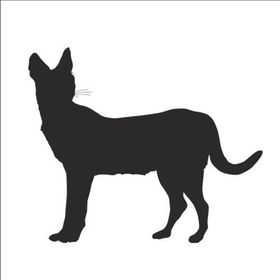 30 cm Vaşak Folyo Sticker
