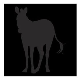 30 cm Zebra Folyo Sticker