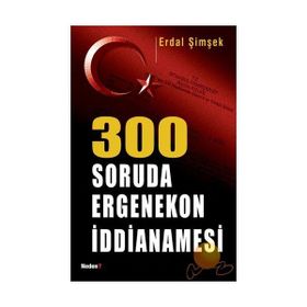 300 SORUDA ERGENEKON İDDİANAMESİ - ERDAL ŞİMŞEK