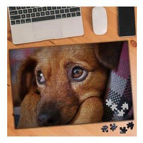 3071334 Duygu Bakışlı Yavru Köpek 240 Parça Puzzle Yapboz