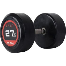 313 Spor 27,5 kg Olimpik Dambıl
