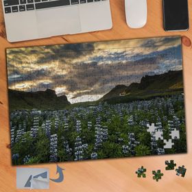 317 Kır Çiçekleri Bulutlu Gökyüzü 240 Parça Puzzle Yapboz Tablo