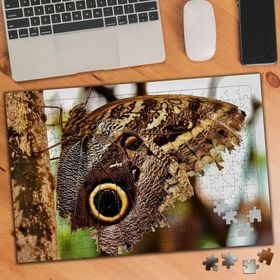 3216494 Ağaçtaki Kelebek 240 Parça Puzzle Yapboz
