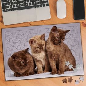 3273789 Üç Kardeş Kedi 240 Parça Puzzle Yapboz