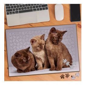 3273789 Üç Kardeş Kedi 240 Parça Puzzle Yapboz