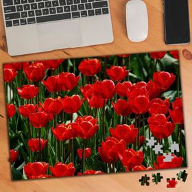 3301943 Kırmızı Laleler 240 Parça Puzzle Yapboz
