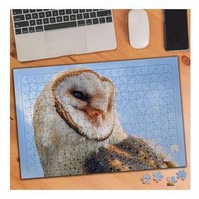 3303542 Çapraz Görünüm Baykuş 240 Parça Puzzle Yapboz