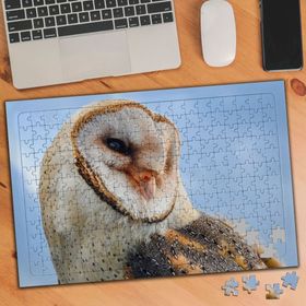3303542 Çapraz Görünüm Baykuş 240 Parça Puzzle Yapboz