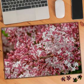 3312038 Japon Kiraz Çiçekleri Bahar Çiçeği 240 Parça Puzzle Yapboz