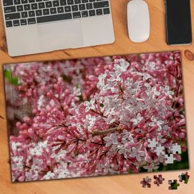 3312038 Japon Kiraz Çiçekleri Bahar Çiçeği 240 Parça Puzzle Yapboz