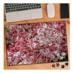 3312038 Japon Kiraz Çiçekleri Bahar Çiçeği 240 Parça Puzzle Yapboz