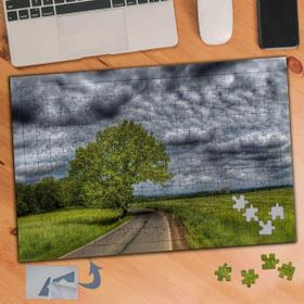 336 Yol Kenarında Yeşil Yapraklı Ağaç 240 Parça Puzzle Yapboz Tablo