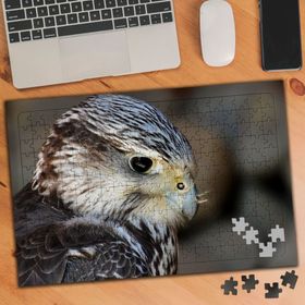 3376350 Yırtıcı Hayvan Şahin 240 Parça Puzzle Yapboz