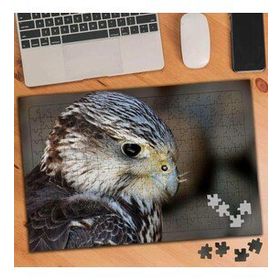 3376350 Yırtıcı Hayvan Şahin 240 Parça Puzzle Yapboz