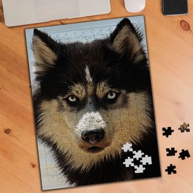 3380548 Sevimli Kurt Köpeği 240 Parça Puzzle Yapboz