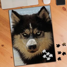 3380548 Sevimli Kurt Köpeği 240 Parça Puzzle Yapboz