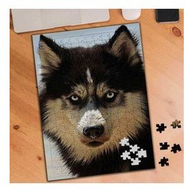 3380548 Sevimli Kurt Köpeği 240 Parça Puzzle Yapboz
