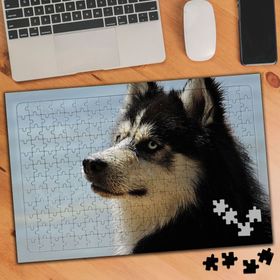3380550 Sibirya Kurdu 240 Parça Puzzle Yapboz