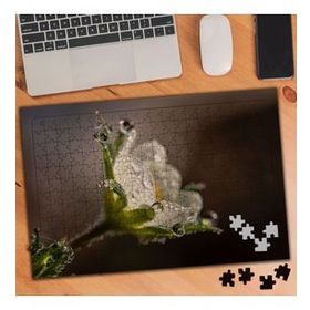 340255 Su Damlacıklı Çiçek 240 Parça Puzzle Yapboz