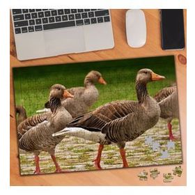 3487734 Ördek Sürüsü 240 Parça Puzzle Yapboz