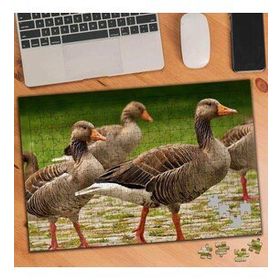 3487734 Ördek Sürüsü 240 Parça Puzzle Yapboz