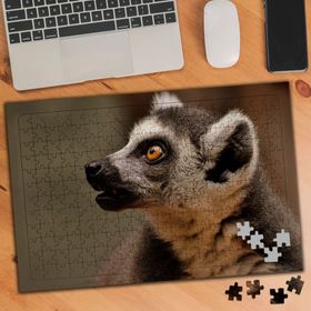 3500426 Şakın Lemur 240 Parça Puzzle Yapboz