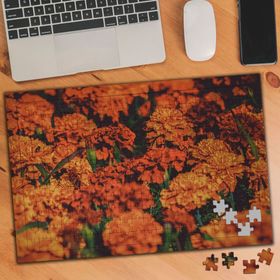 3502842 Kırmızı Karanfil Bahçesi 240 Parça Puzzle Yapboz