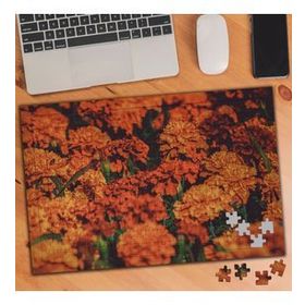 3502842 Kırmızı Karanfil Bahçesi 240 Parça Puzzle Yapboz