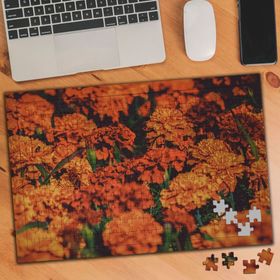 3502842 Kırmızı Karanfil Bahçesi 240 Parça Puzzle Yapboz