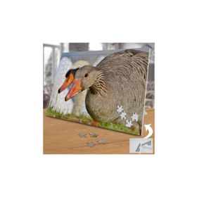 3506513 Eğik Kafalı Ördek 240 Parça Puzzle Yapboz