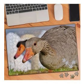 3506513 Eğik Kafalı Ördek 240 Parça Puzzle Yapboz