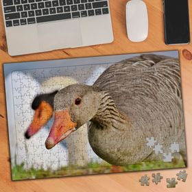 3506513 Eğik Kafalı Ördek 240 Parça Puzzle Yapboz