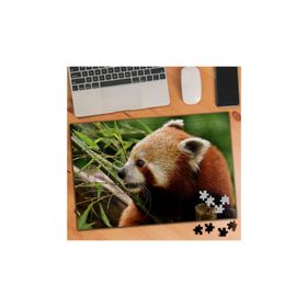 3508153 Ağaçtaki Kızıl Tilki 240 Parça Puzzle Yapboz