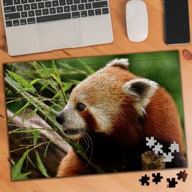 3508153 Ağaçtaki Kızıl Tilki 240 Parça Puzzle Yapboz